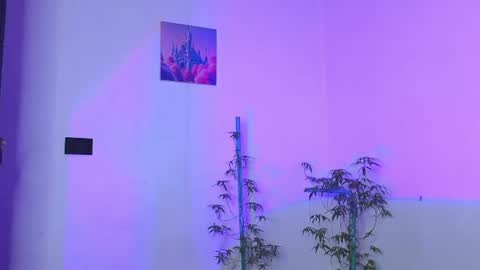 holy_taby_ online show from July 31, 6:41 am