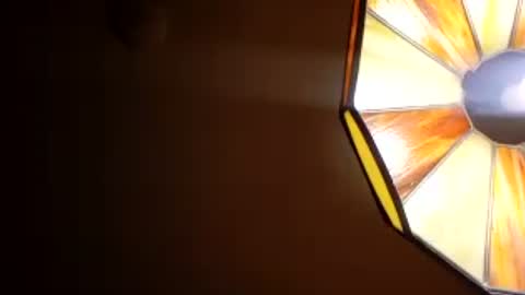 honeybear2026 online show from July 28, 7:36 am