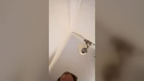 honeybear2026 online show from August 2, 7:26 am