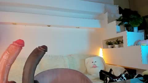 Alexia online show from August 13, 10:29 am