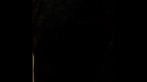 hornydude3435 online show from June 1, 6:27 am