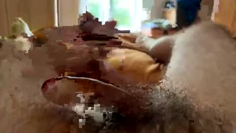 HornyGuy online show from August 4, 11:18 am