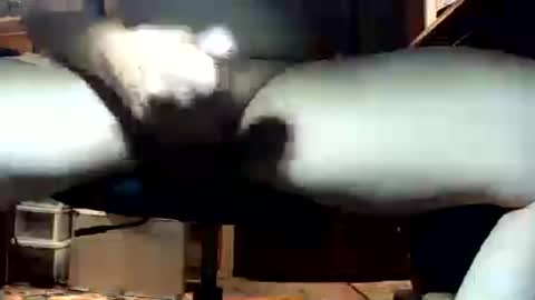 hornyman79916 online show from July 16, 2:23 am
