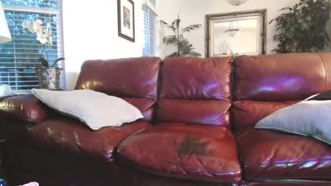 hotblondemilf1962 online show from August 2, 10:33 am