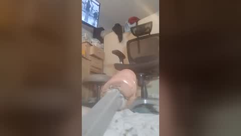hotstuffed699557 online show from August 9, 5:52 am