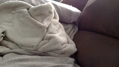 hottub1 online show from August 11, 11:12 am