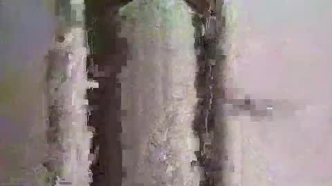hugexxxcummer online show from May 3, 2:44 pm