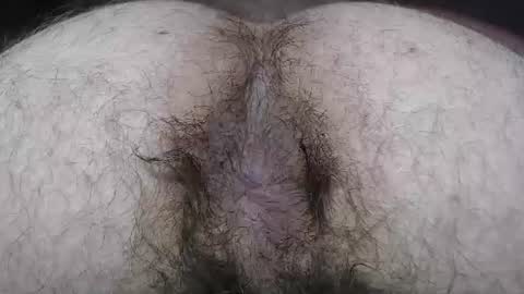  I AM NOT A DIRECTOR I AM THE BOSS            KINGDADDYSIRSTR8ALPHAMASTER VANCE online show from July 31, 5:40 pm