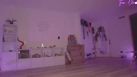 IG iam elii11 online show from August 7, 4:12 am