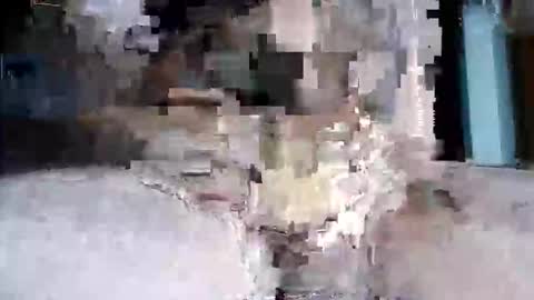 Pat online show from March 31, 1:02 am