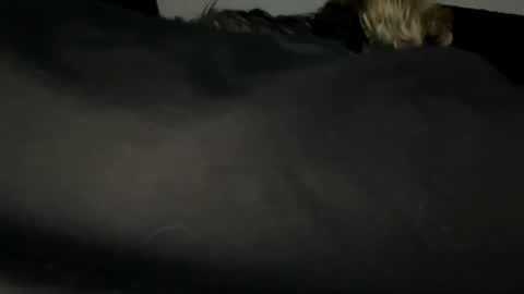 igotthroated online show from August 2, 10:22 am