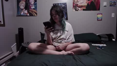 Lilly online show from August 8, 2:22 am
