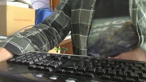Aussie Guy online show from September 3, 2:03 am