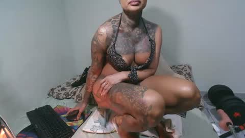 INK BELLA online show from July 26, 2:16 am