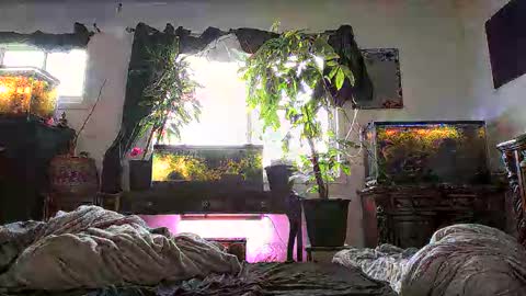 Missi Rae online show from March 12, 6:38 pm