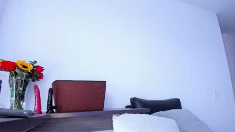 iris online show from August 11, 1:24 pm