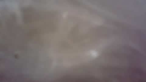 islandforfun online show from August 14, 4:54 pm