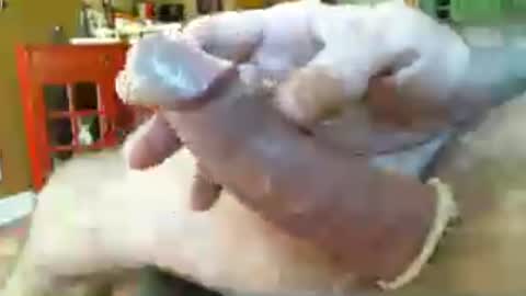 itsxxxtc online show from August 7, 1:44 pm