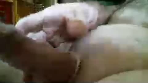 itsxxxtc online show from August 17, 5:29 pm