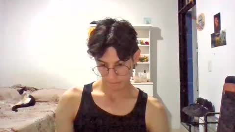 j_t2005 online show from August 13, 4:04 am