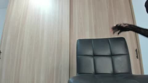 JADDYY online show from August 13, 10:46 pm