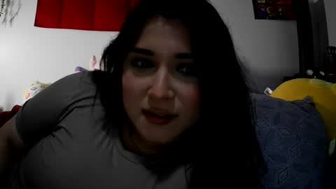 Jaida online show from August 12, 8:05 am