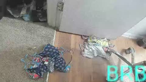 Bootyshows online show from August 2, 3:52 pm