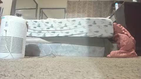 Bootyshows online show from August 10, 11:00 am