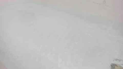 Bootyshows online show from August 16, 12:14 am