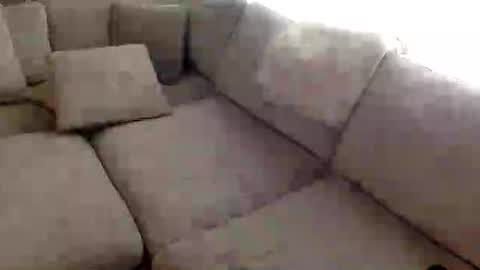 janicepepper online show from August 7, 3:01 pm