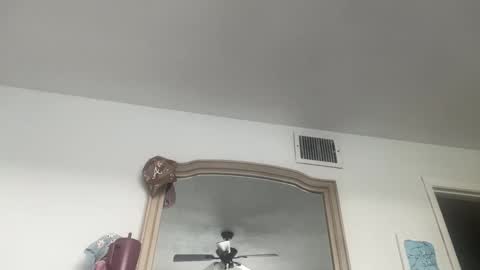 Jasmine Tate online show from March 26, 2:54 pm
