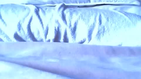 jaxlee1952 online show from March 23, 9:09 pm