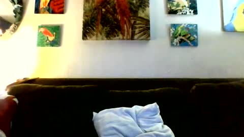 jay-jay1475 online show from July 23, 2:25 am