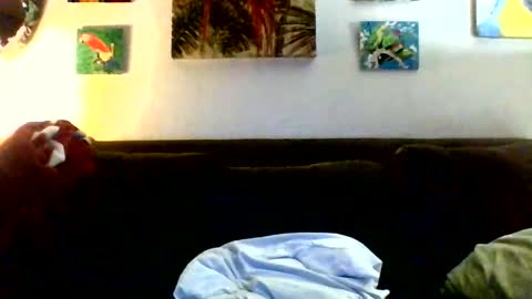 jay-jay1475 online show from August 3, 1:56 am