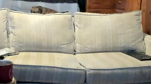 redneck asshole prick online show from August 15, 1:20 am