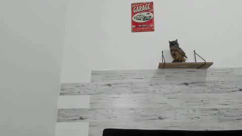 jaycreedd online show from February 27, 5:06 am