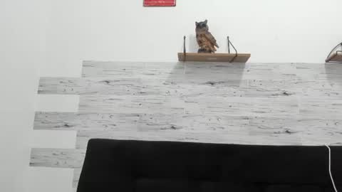 jaycreedd online show from August 15, 8:57 pm