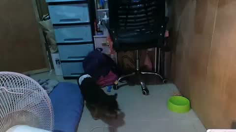 jeanny_babe online show from August 14, 2:43 pm