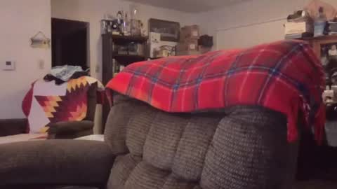 dadbody71 online show from June 1, 2:47 am