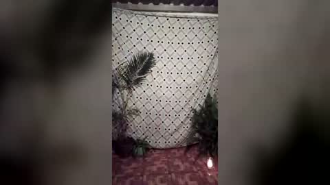 jennytravestisexy online show from July 19, 2:46 am