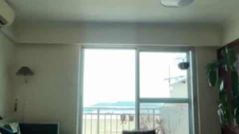 Jigz1986 online show from August 11, 4:03 am