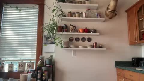 jimballss online show from August 23, 9:55 pm