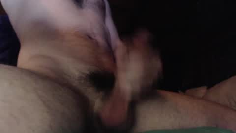 joedeshiii online show from April 25, 8:42 am