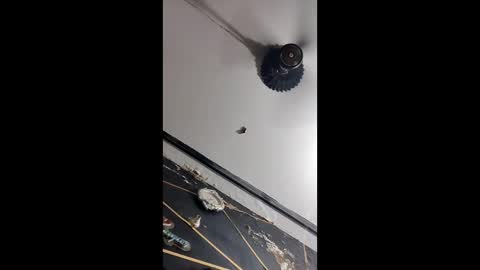 john_2344444440 online show from May 13, 11:43 am