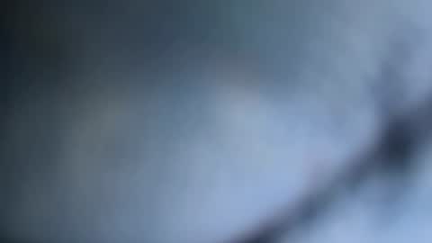 JOHN online show from August 8, 8:47 am