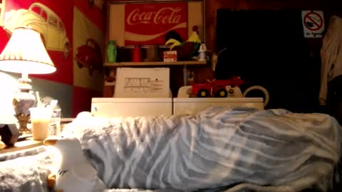Johston online show from July 8, 2:26 am