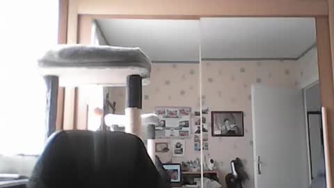 jojo60000529566 online show from August 3, 8:32 am