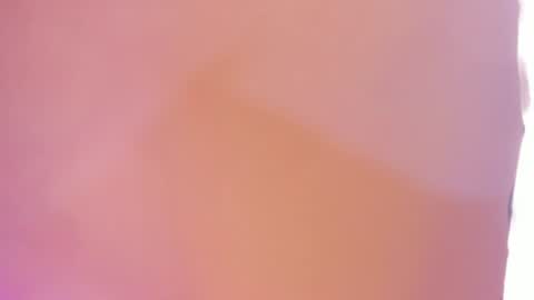 joyceblake online show from August 9, 3:40 am