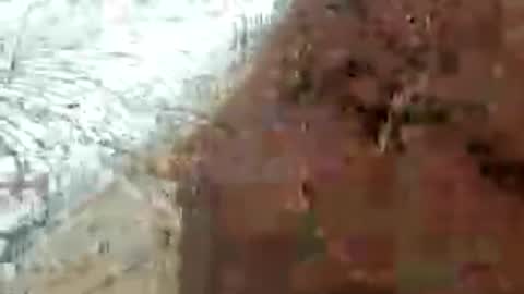 juicydick2525 online show from July 6, 5:21 am
