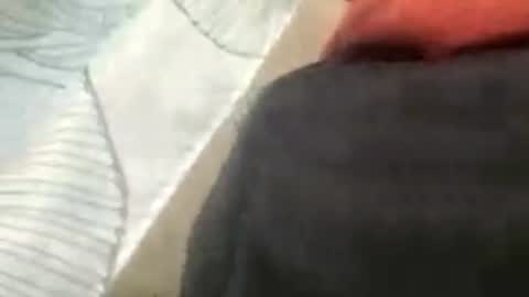 juicydick2525 online show from August 15, 10:30 am